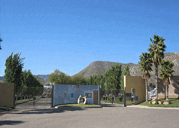 Tecate · Nave industrial